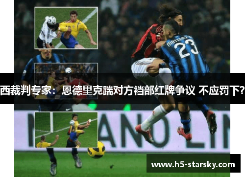 西裁判专家:恩德里克踹对方裆部红牌争议 不应罚下? 西裁判专家:恩德里克踹对方裆部红牌争议 不应罚下?