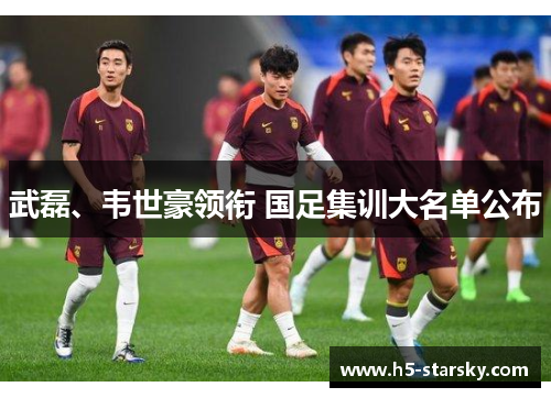 武磊、韦世豪领衔 国足集训大名单公布